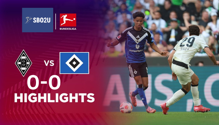 ไฮไลท์ฟุตบอล โบรุสเซีย มึนเช่นกลัดบัค พบ ฮัมบูร์ก บุนเดสลีกา 25 26